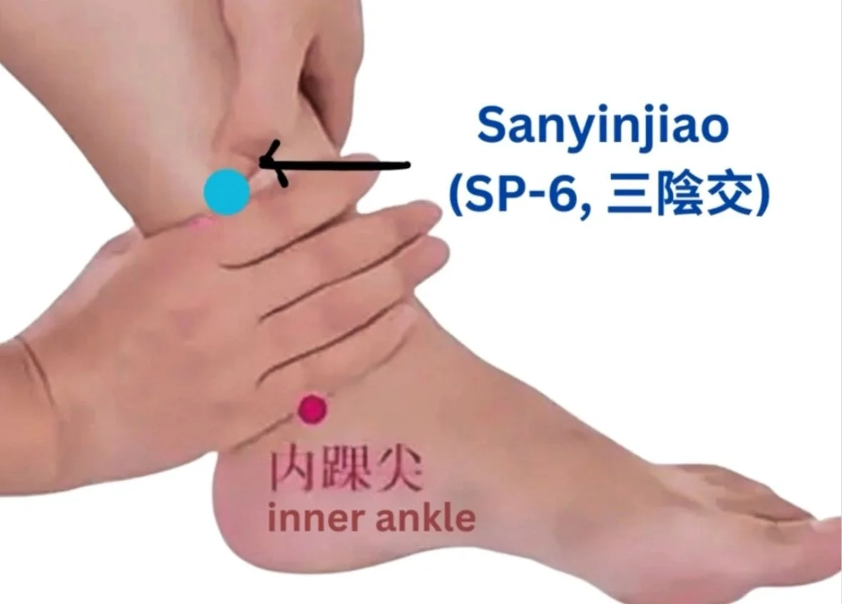 Sanyinjiao (SP-6, 三陰交) 