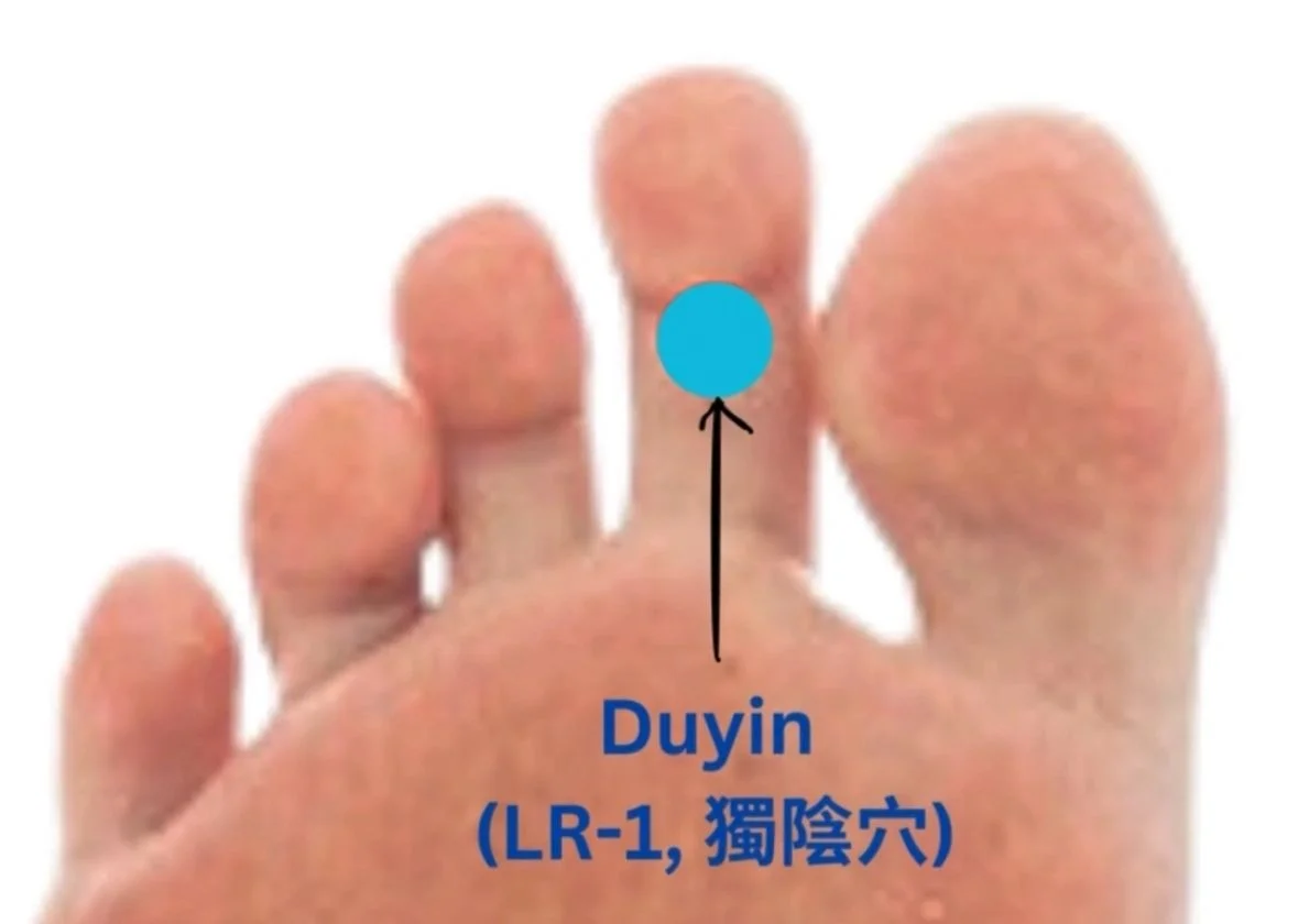 Duyin (LR-1, 獨陰穴) 
