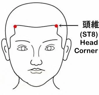 頭維穴 ST8 (Tou Wei)
