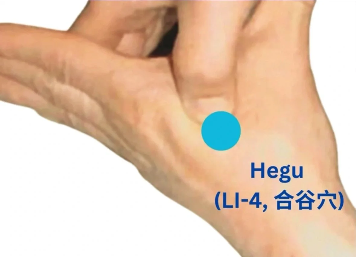 Hegu (LI-4, 合谷穴) 