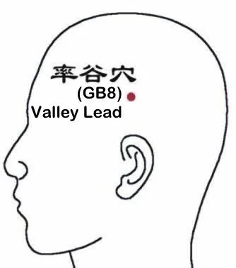 率谷穴 GB8 (Shuai Gu)