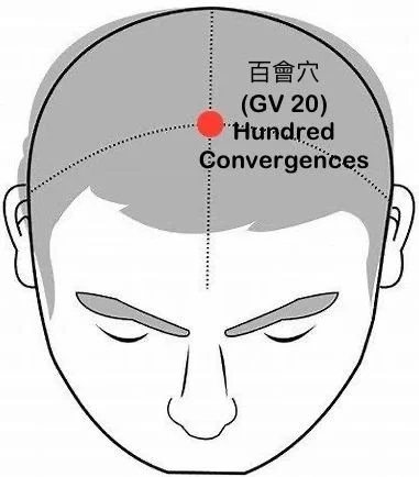 百會穴 GV20 (Bai Hui)