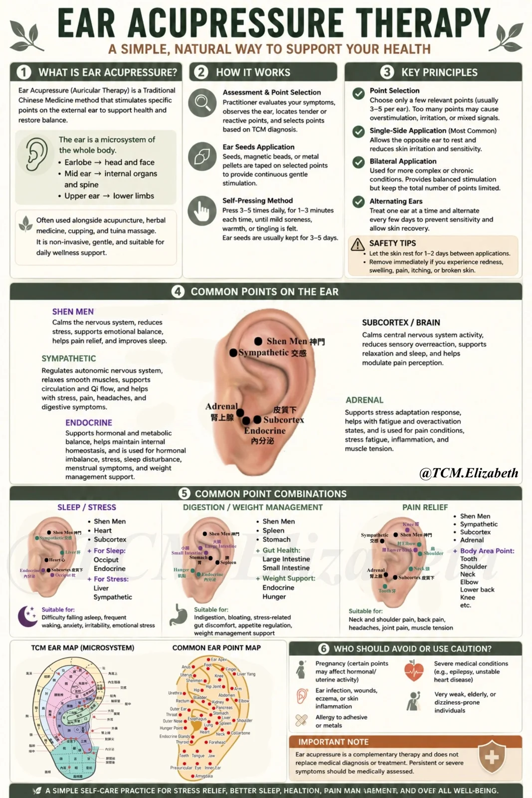 Ear acupressure, Ear seed, Chinese Medicine 