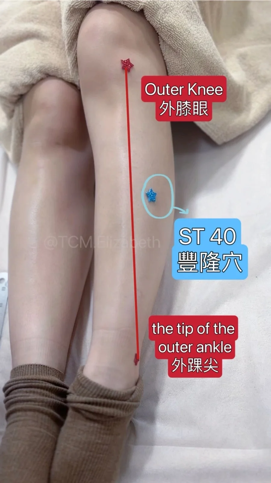 豐隆穴 (SP 40)